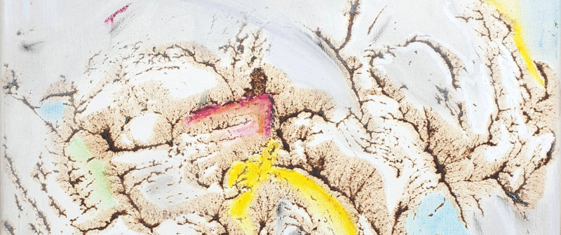 Galerie - Real Art Invention